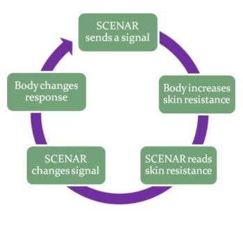 Circular flowchart illustrating the SCENAR biofeedback loop and neuroadaptive signal exchange.