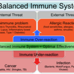Diagram showing immune system balance and the risks of over-reaction and under-reaction.