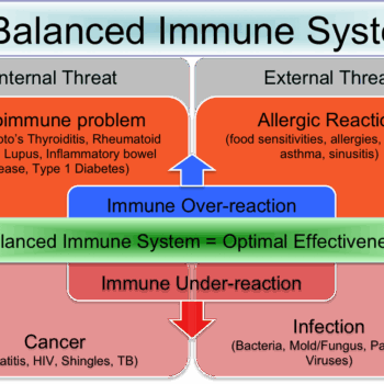 Diagram showing immune system balance and the risks of over-reaction and under-reaction.