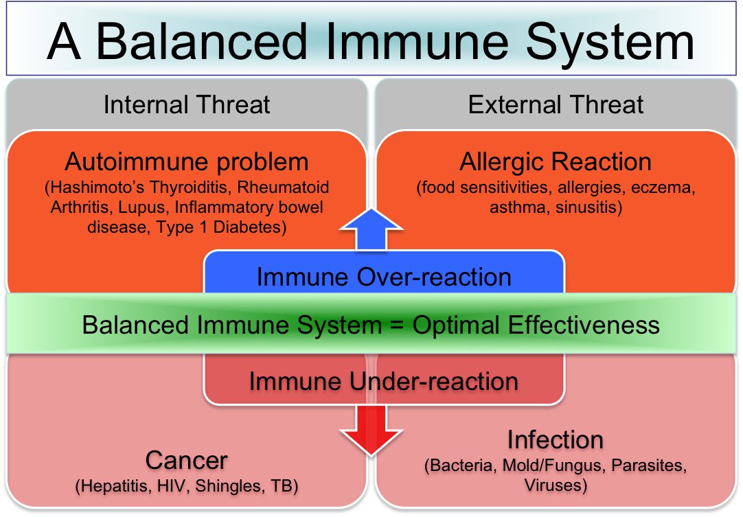 immune system balance