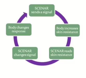 SCENAR-SKENAR-Feedback-cycle