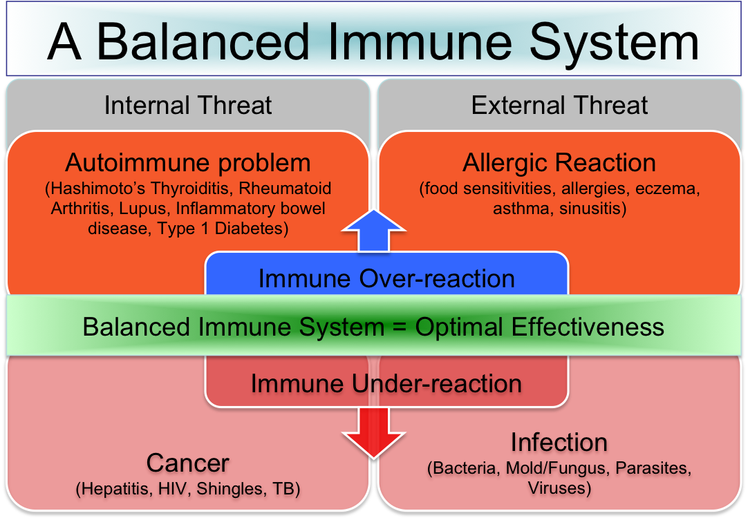 immune system balance